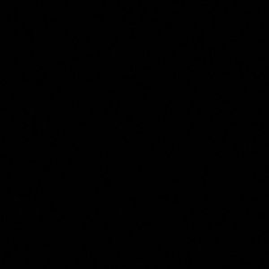 Meet your Posher, Chase